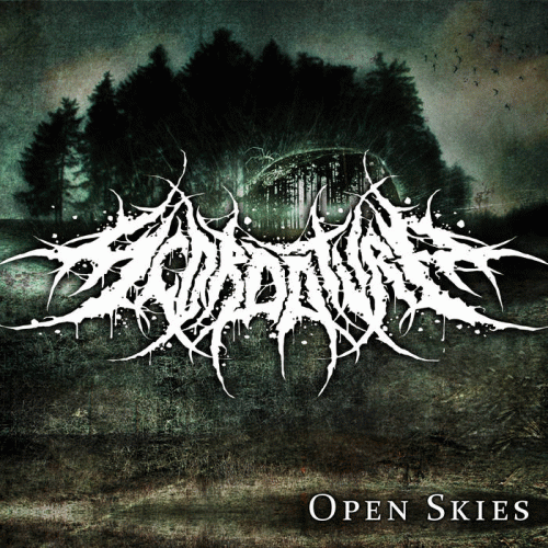Scordatura : Open Skies